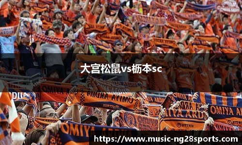 ng体育官网