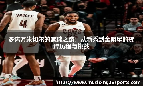 ng体育官网